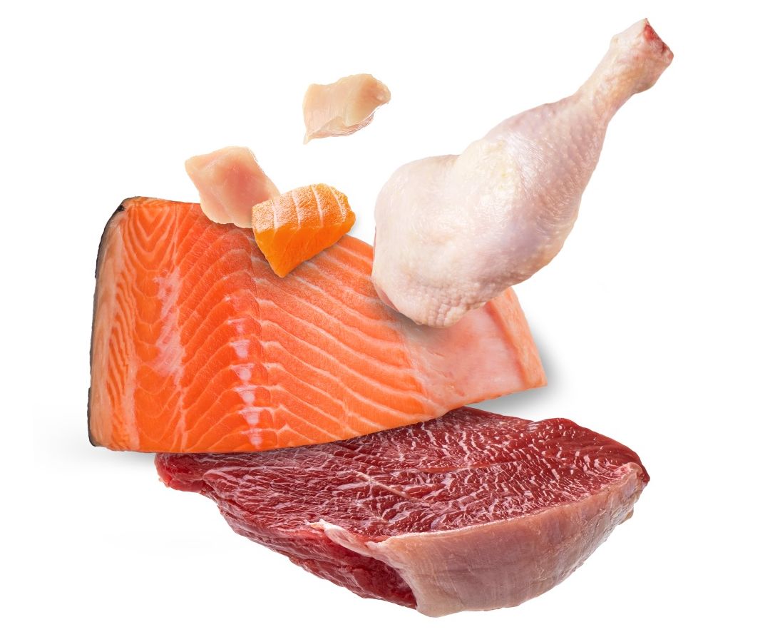 <strong>High Quality Meat Protein</strong>