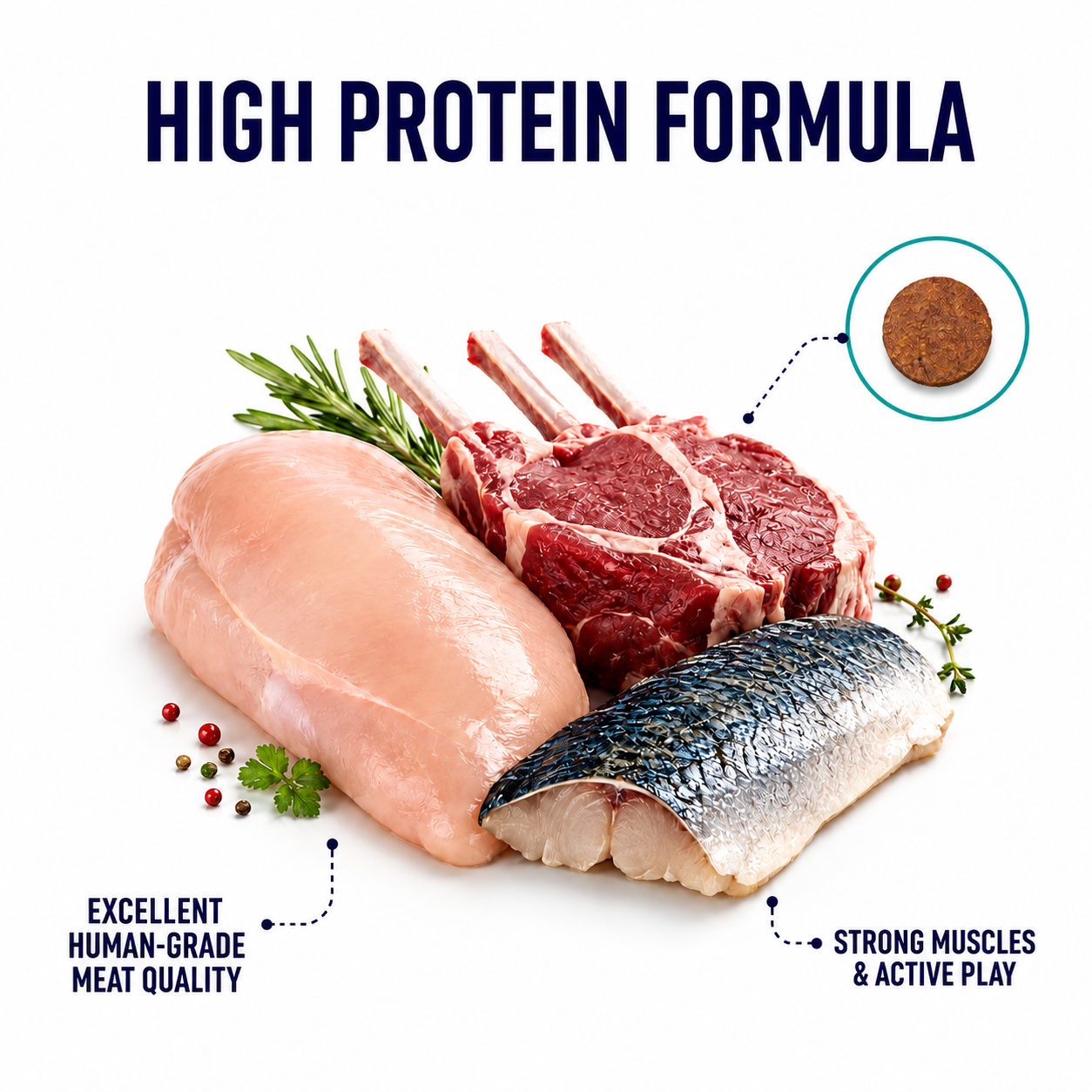 SIMPLE 300g High Protein Raw 5 Ocean Harvest Premium Dog Dry Food with 5 Type Fishes [Added Prebiotics for Dog]