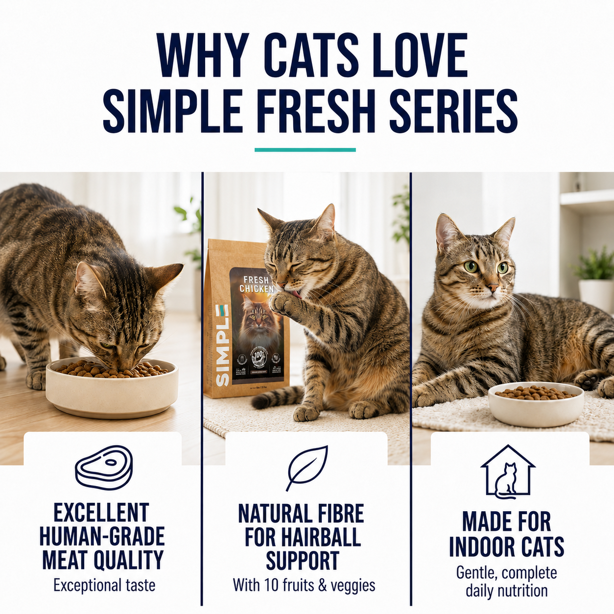 SIMPLE 2.7kg Nutrient-Rich with Added Salmon Oil Fresh Human-Grade Fish Premium Cat Dry Food