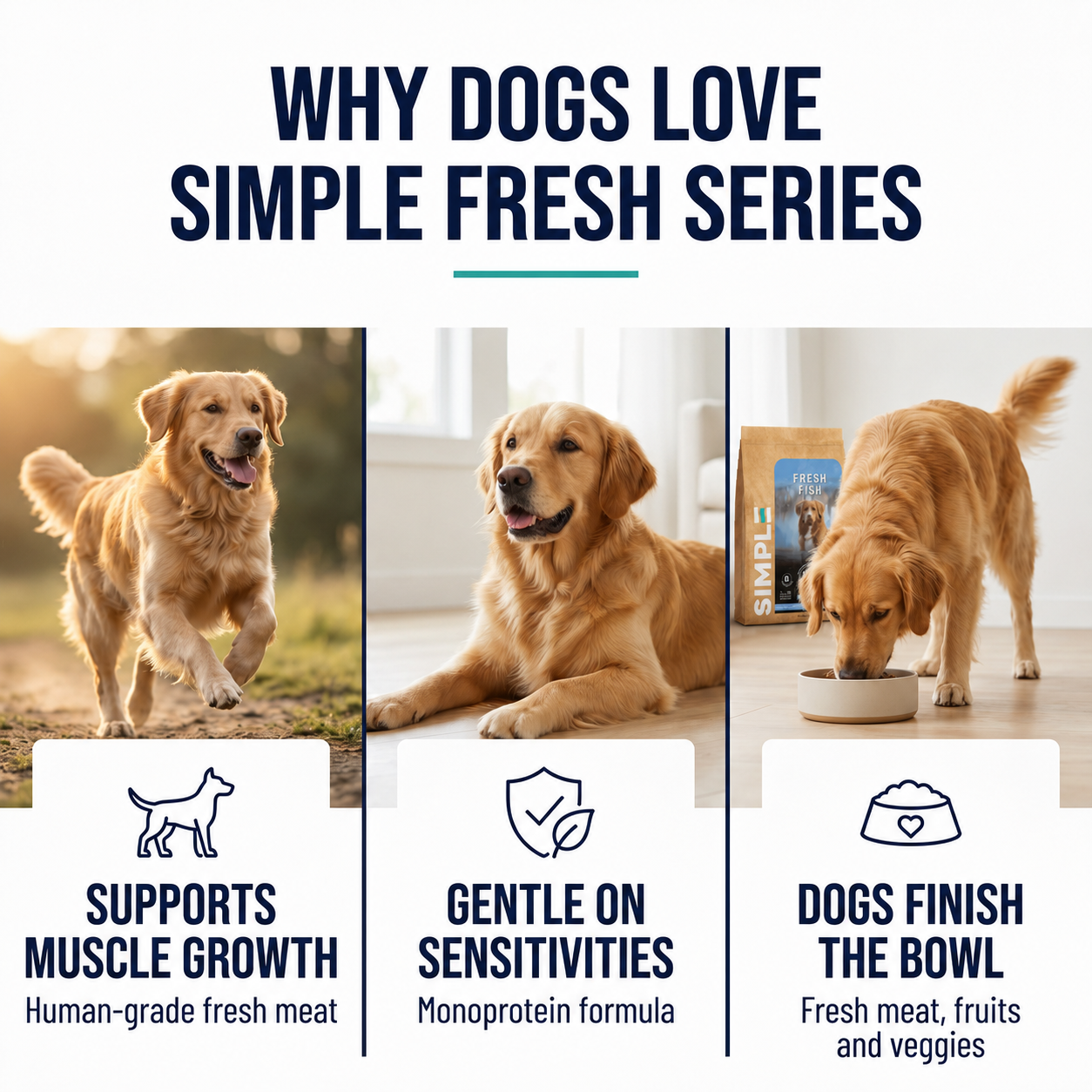 [Carton] SIMPLE 9kg Monoprotein Nutrient-Rich with Added Salmon Oil Fresh Human-Grade Chicken Premium Dog Dry Food