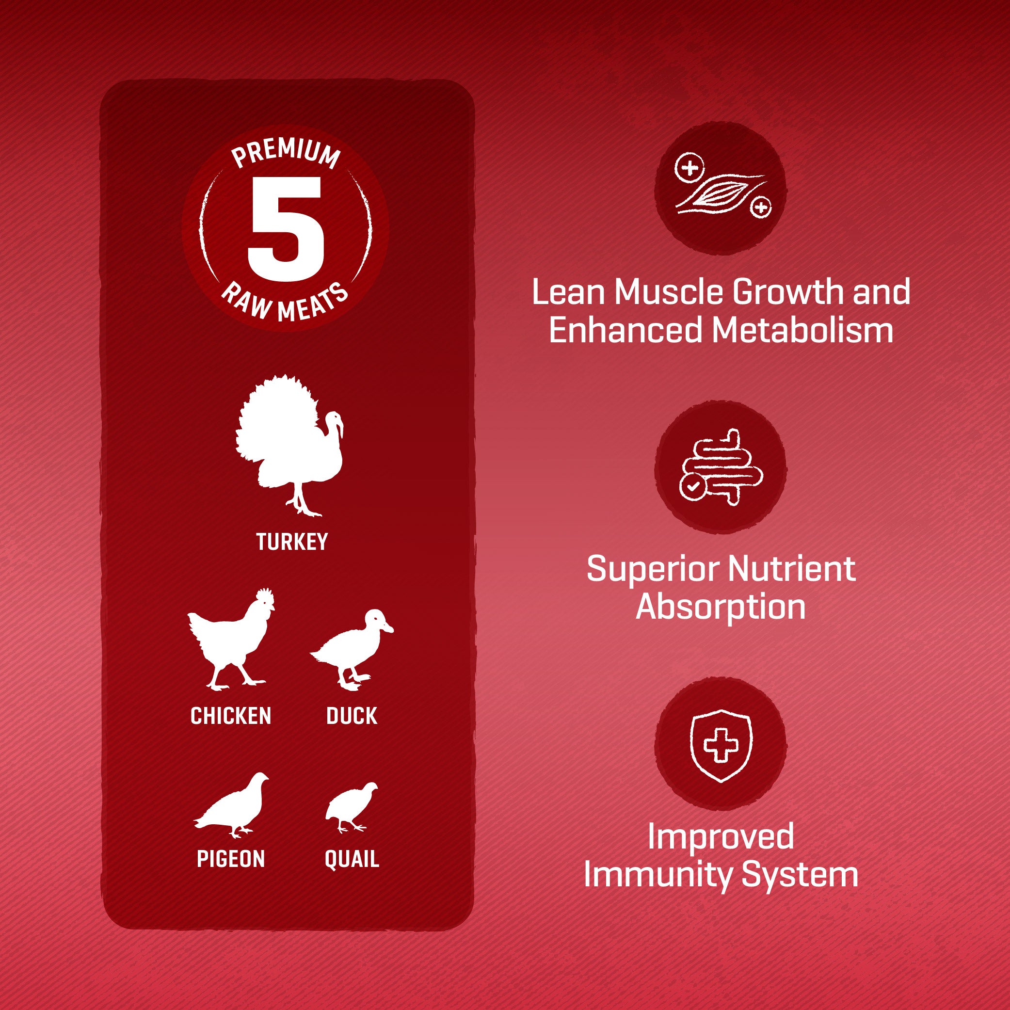 Raw 5 Series Country Medley Dog Food (3KG)