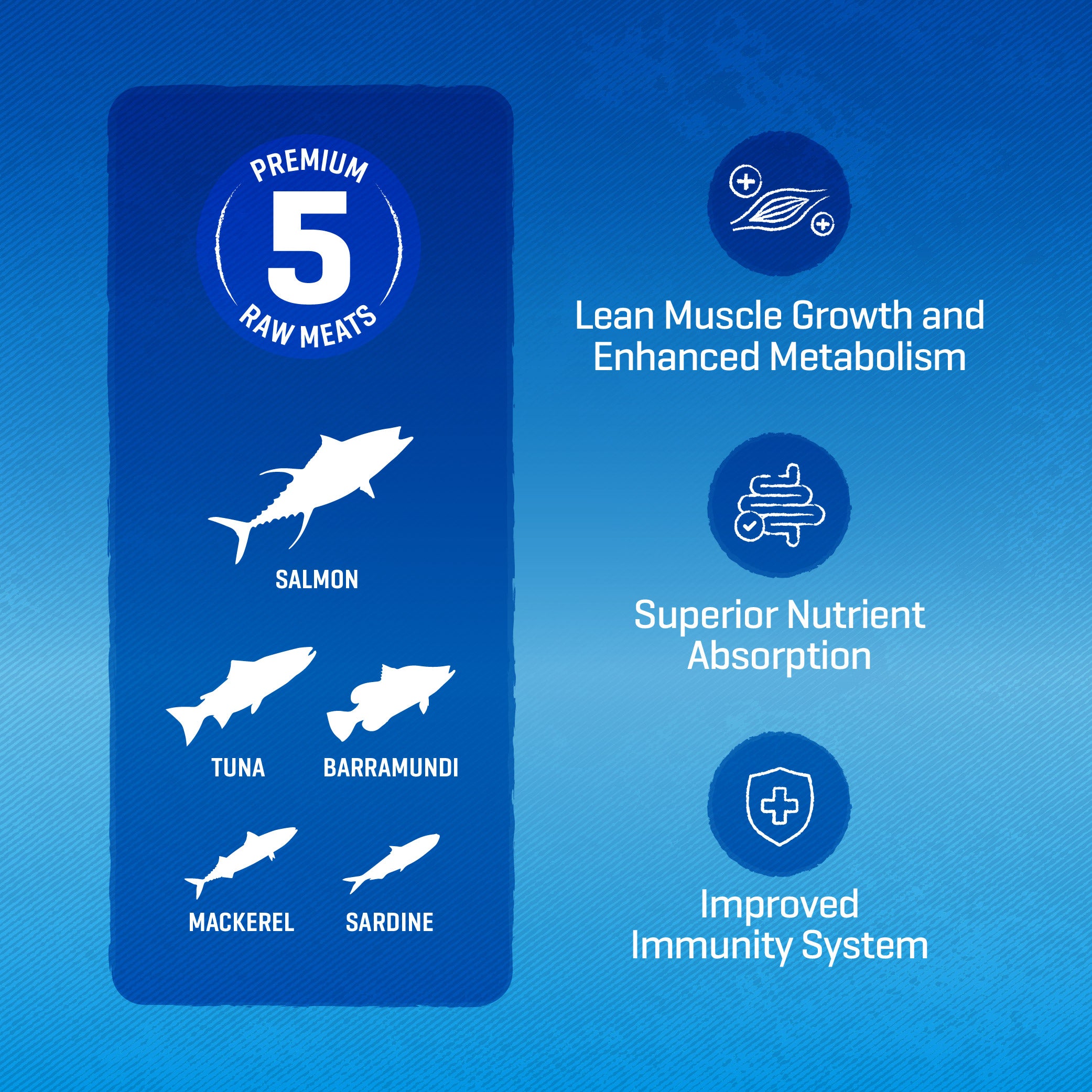 Raw 5 Series Ocean Harvest Cat Food (2.7KG)
