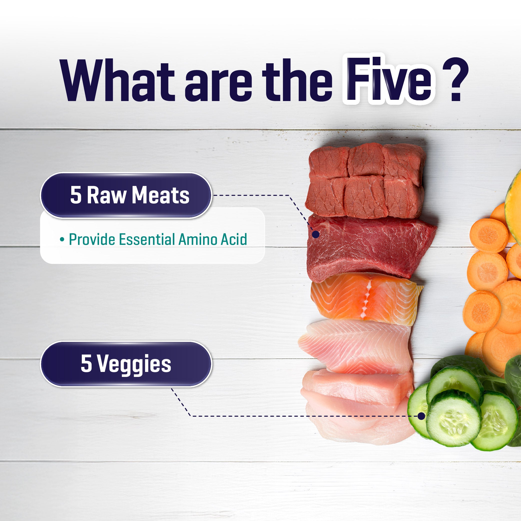 [TRIAL PACK] Raw 5 Series Country Medley Cat Food (300G)