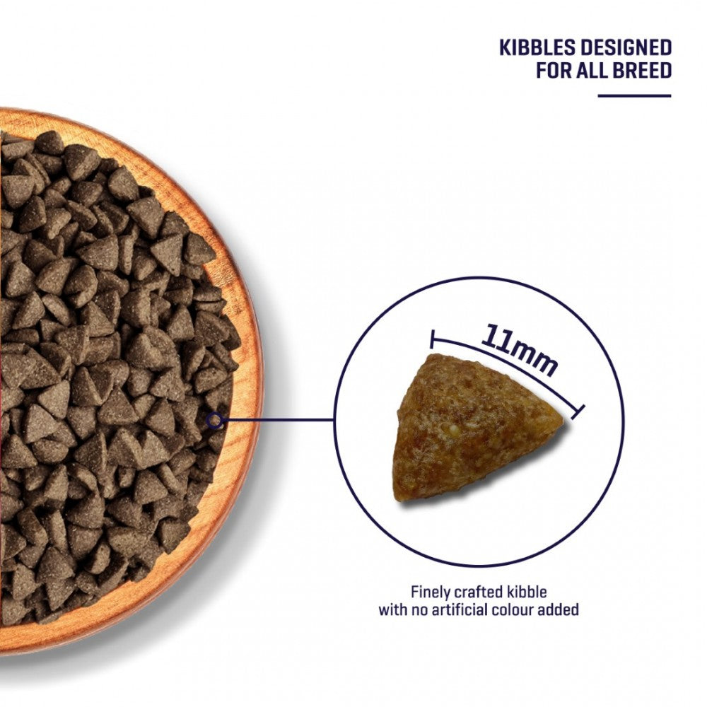 [Christmas Deal] SIMPLE x ProBalance Salmon Fillet Grain Free Salmon Dog Food Bundle