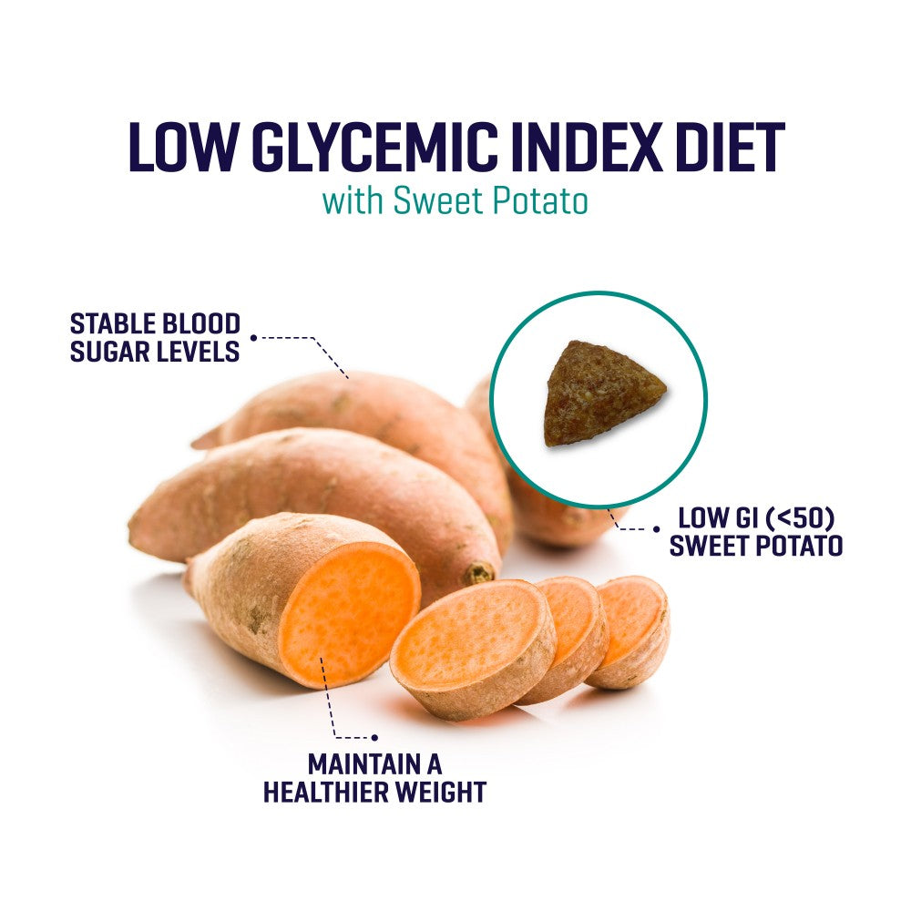 [Christmas Deal] SIMPLE x ProBalance Salmon Fillet Grain Free Salmon Dog Food Bundle