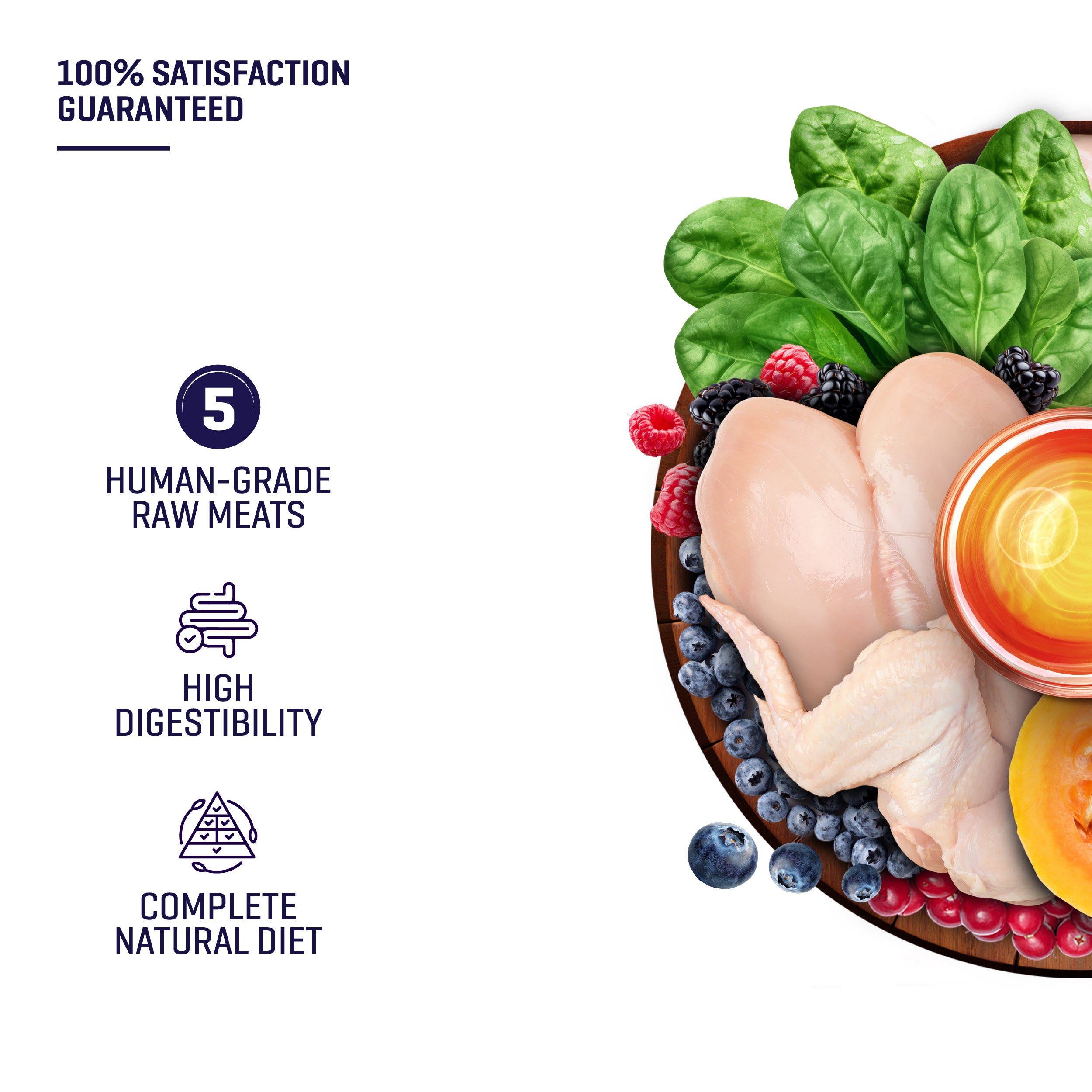 Raw 5 Series Country Medley Cat Food (2.7KG)