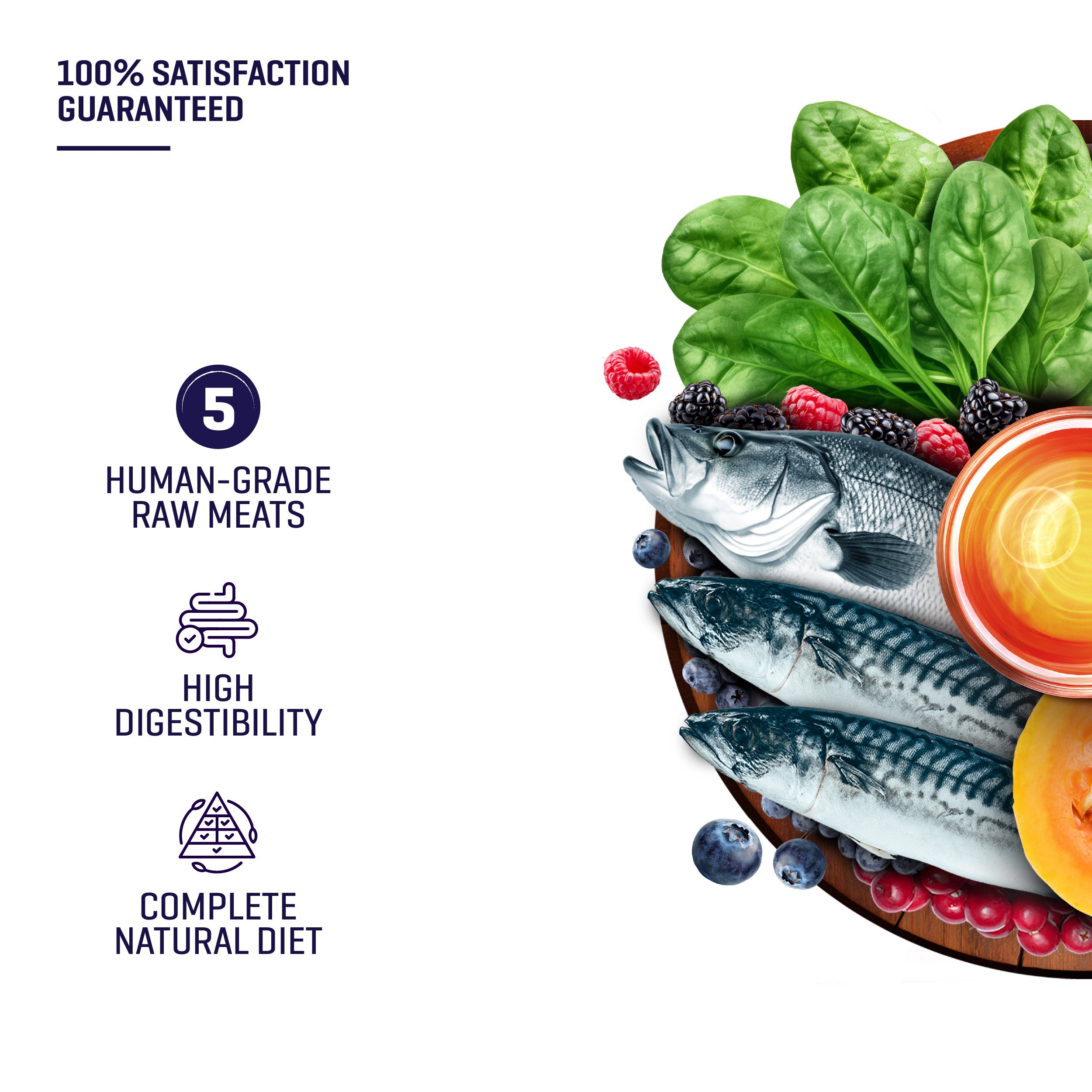 [TRIAL PACK] Raw 5 Series Ocean Harvest Dog Food (300G)