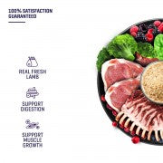 [Christmas Deal] SIMPLE x Delizios Fresh Lamb Cat Food Tasty Bundle