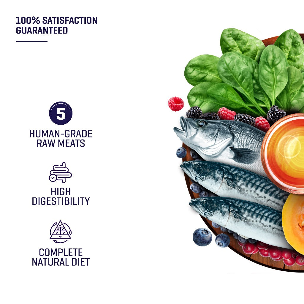 [Bundle] Raw 5 Series Ocean Harvest Dog Food 1KG + 300G FREE