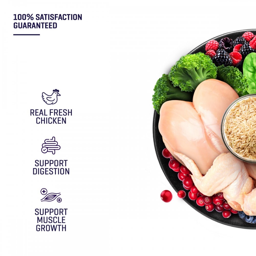 Fresh Human-Grade Chicken Cat Food (2.7KG)