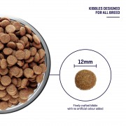 [Trial Pack] Fresh Human-Grade Aussie Lamb Dog Food (300G)