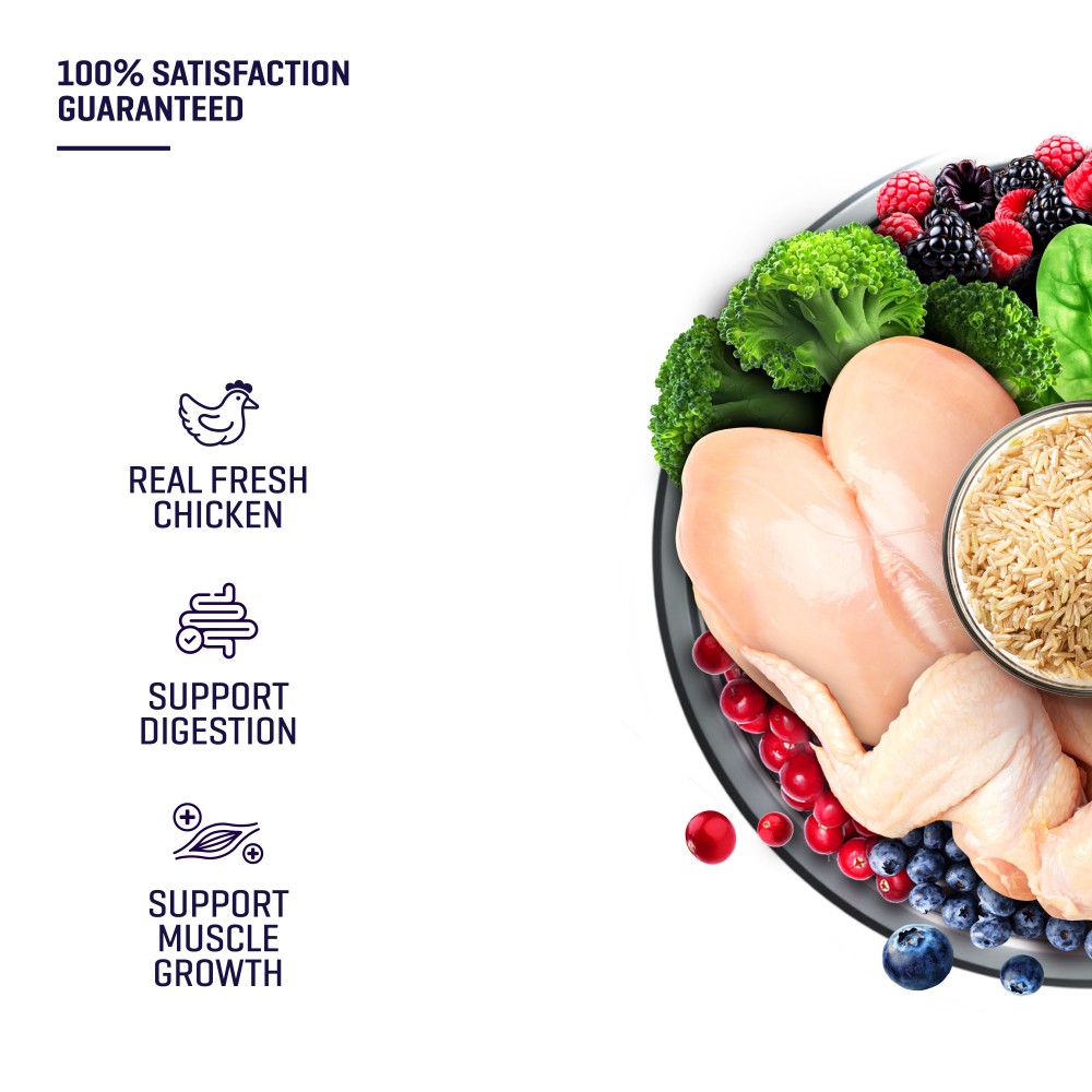 [Trial Pack] Fresh Human-Grade Chicken Dog Food (300G) 