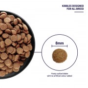 Fresh Human-Grade Fish Cat Food (2.7KG)