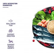 Fresh Human-Grade Fish Cat Food (2.7KG)