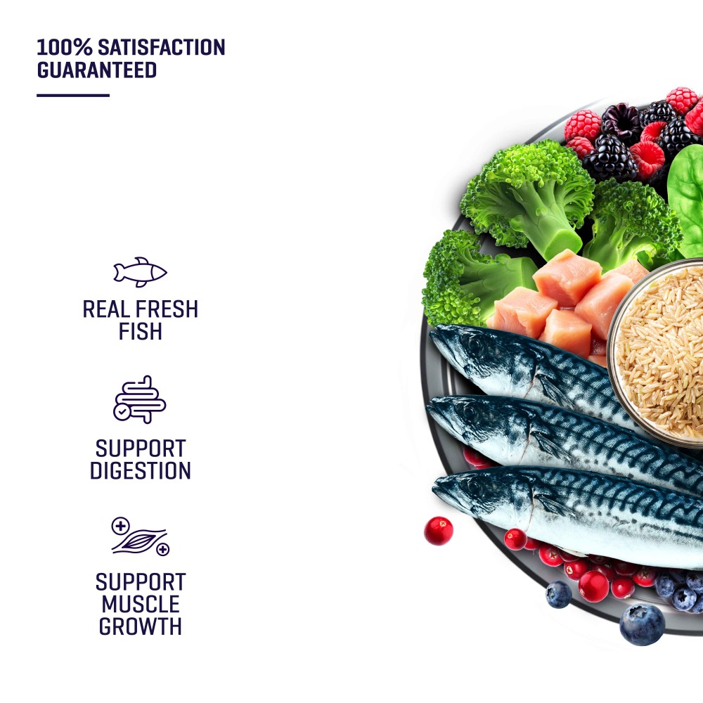 [Trial Pack] Fresh Human-Grade Fish Dog Food (300G)