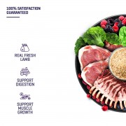 Fresh Human-Grade Aussie Lamb Cat Food (2.7KG)